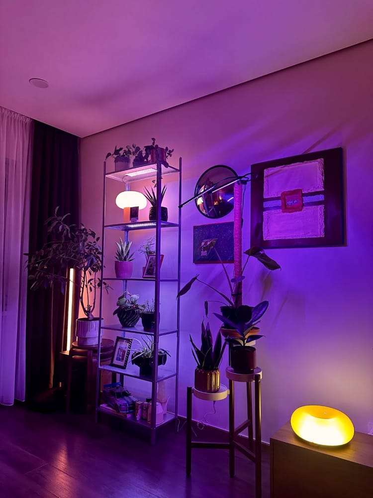 the home jungle